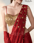 Ruby Noire Saree Set