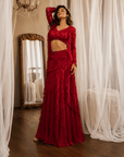 Red Rose Embroidered Lehenga Set Red
