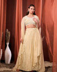 RIZABELLA Women Veda Embroidered Drape Set with Cape
