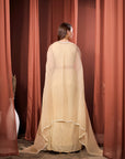 RIZABELLA Women Veda Embroidered Drape Set with Cape