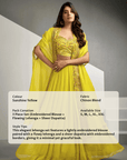 Sunshine Zest Lehenga Set